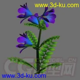 3D打印模型紫花檀香草的图片