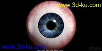 人体器官-写实模型-眼睛nEye的图片