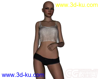 3D打印模型DAZ3D - Poser - Hot Mess Outfit for Genesis 2 Female的图片