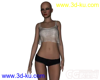 3D打印模型DAZ3D - Poser - Hot Mess Outfit for Genesis 2 Female的图片