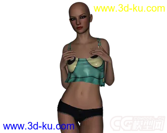 3D打印模型DAZ3D - Poser - Hot Mess Outfit for Genesis 2 Female的图片