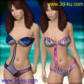 3D打印模型DAZ3D & Poser ~ Slim-Fit Monokini Bundle for V4的图片