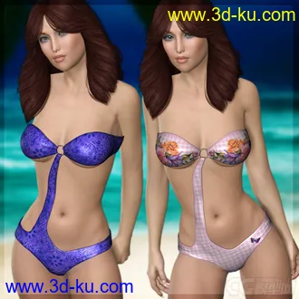 3D打印模型DAZ3D & Poser ~ Slim-Fit Monokini Bundle for V4的图片