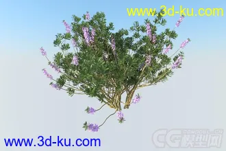 3D打印模型有花植物一颗的图片