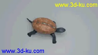 3D打印模型一只乌龟的图片