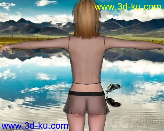 Daz3D - Poser - Sex Appeal2模型的图片3