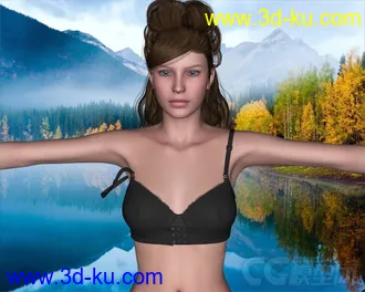 3D打印模型DAZ3D - Poser - hongyu's DreamLace 4 and Secrets for V4的图片