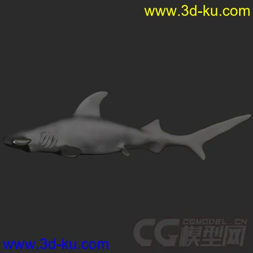 Fish Rigs - HammerHead with textures模型的图片1