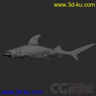 3D打印模型Fish Rigs - HammerHead with textures的图片