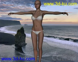 3D打印模型96735 Hongyu's Bikini 2 for V4A4G4Elite的图片