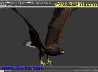 3D打印模型鹰  老鹰带蒙皮 有动画的图片