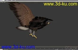 3D打印模型鹰  老鹰带蒙皮 有动画的图片