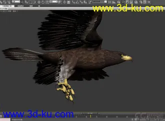 3D打印模型鹰  老鹰带蒙皮 有动画的图片