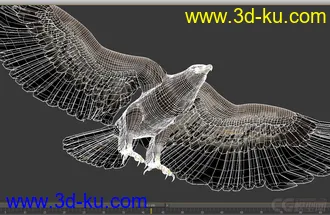 3D打印模型鹰  老鹰带蒙皮 有动画的图片