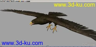3D打印模型鹰---MAYA雄鹰的图片