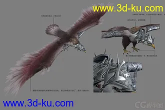 鹰---老鹰 战鹰模型的图片