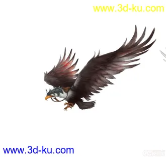 鹰---老鹰 战鹰模型的图片