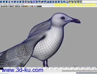 3D打印模型海鸥seagull-maya2009的图片