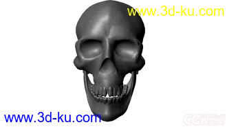 3D打印模型骷髅头的图片