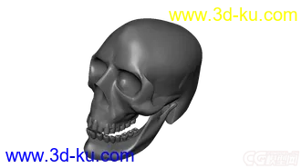 3D打印模型骷髅头的图片