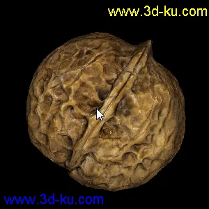 真实的核桃模型 OBJ带贴图带纹理坐标  支持各种定做的图片