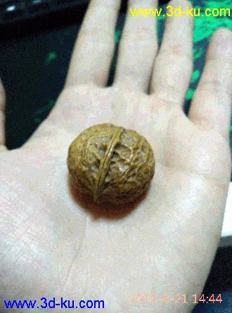 真实的核桃模型 OBJ带贴图带纹理坐标  支持各种定做的图片