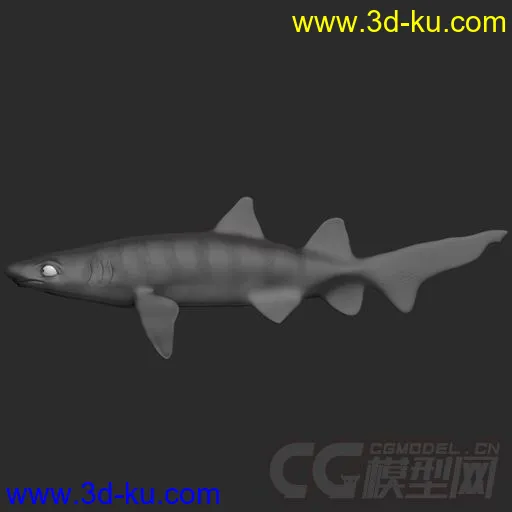 Fish Rigs TigerShark with textures模型的图片1