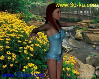 3D打印模型DAZ3D - Poser - Valentine Sleep Wear Lingerie for V4的图片