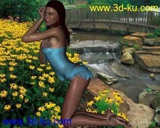 3D打印模型DAZ3D - Poser - Valentine Sleep Wear Lingerie for V4的图片