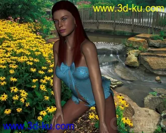 3D打印模型DAZ3D - Poser - Valentine Sleep Wear Lingerie for V4的图片