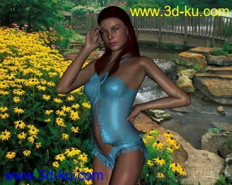 3D打印模型DAZ3D - Poser - Valentine Sleep Wear Lingerie for V4的图片