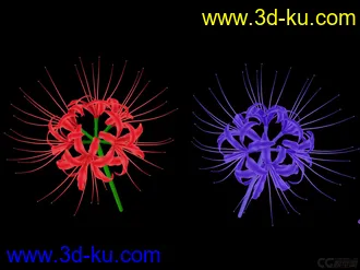 3D打印模型第一次做花，做来玩玩，喜欢的可带走········的图片