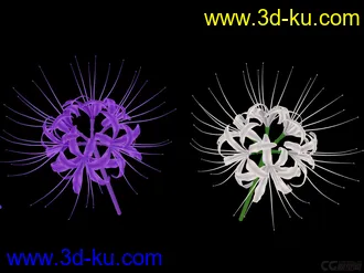 3D打印模型第一次做花，做来玩玩，喜欢的可带走········的图片