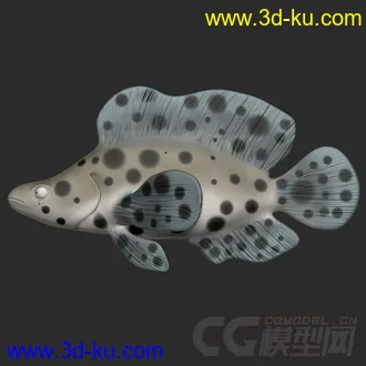 3D打印模型Fish Rigs - PantherGrouper with textures的图片