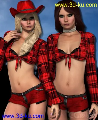 3D打印模型Poser - DAZ3D - NYC Couture for Country Girl的图片