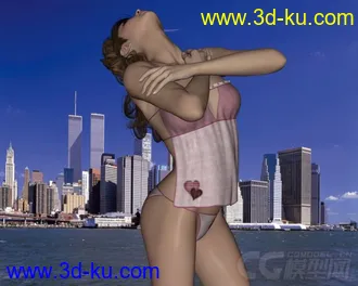 3D打印模型Poser - DAZ3D - Private Moments for Sweetheart II的图片