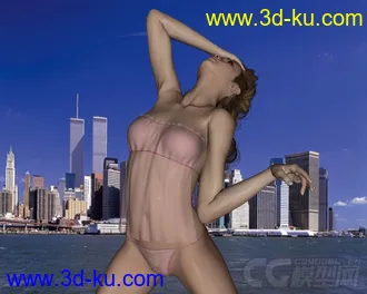 3D打印模型Poser - DAZ3D - Private Moments for Sweetheart II的图片