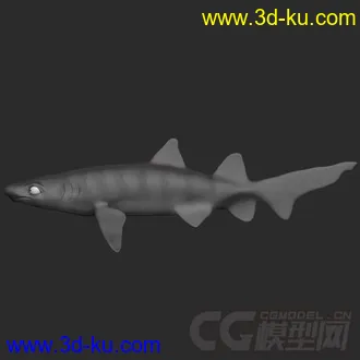 3D打印模型Fish Rigs - TigerShark with textures的图片
