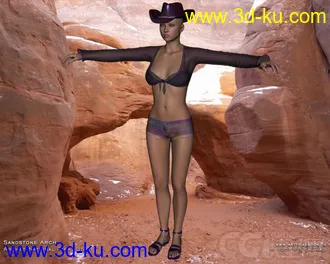 3D打印模型Sassy Country for Country Girl的图片