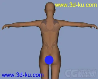 3D打印模型gypsyangel_asheni的图片