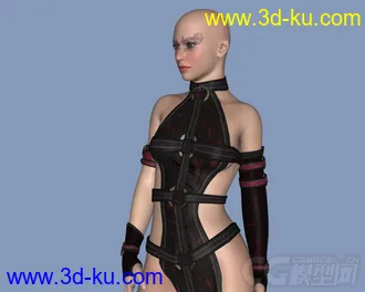 3D打印模型yen.1.11.129-VH-Cindy-for-Victoria-4-Genesis的图片
