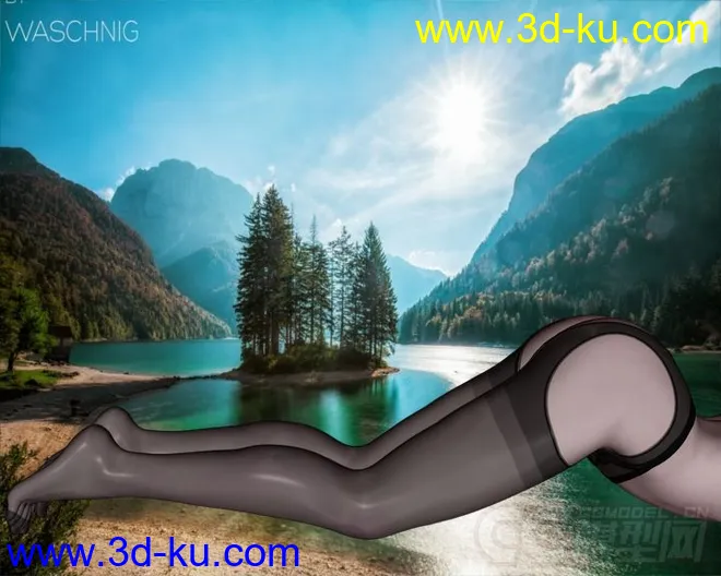 DAZ3D - Poser - Elegant Pantyhose and Stockings模型的图片5
