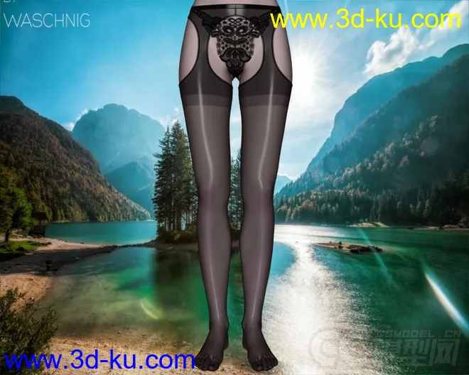 DAZ3D - Poser - Elegant Pantyhose and Stockings模型的图片6