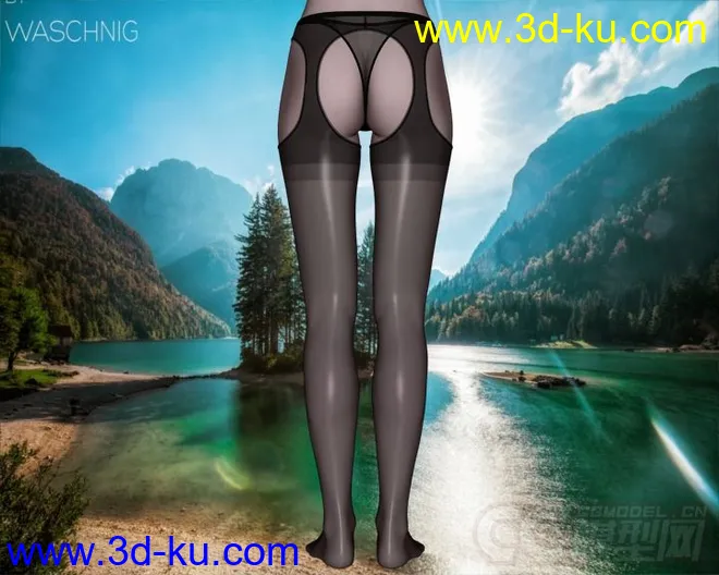 DAZ3D - Poser - Elegant Pantyhose and Stockings模型的图片7