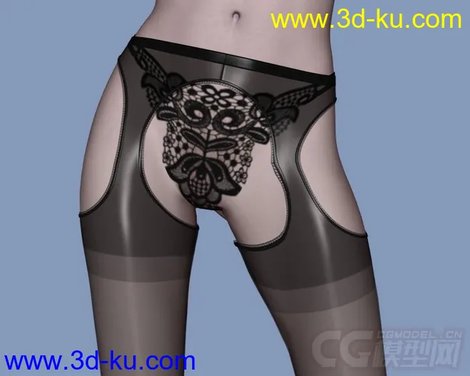 DAZ3D - Poser - Elegant Pantyhose and Stockings模型的图片9