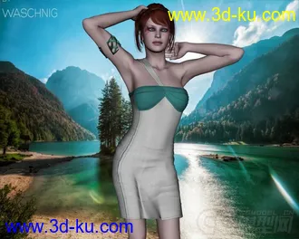 3D打印模型DAZ3D - Poser - Excession Three的图片