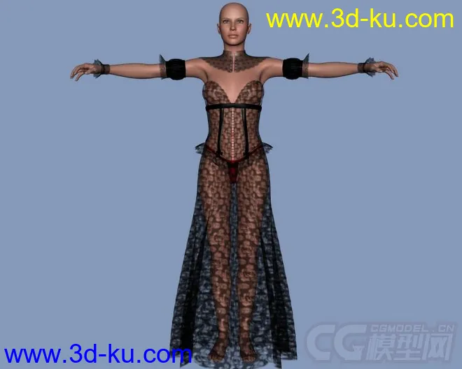 DAZ3D - Poser - Hot Sominas Delight for V4模型的图片3
