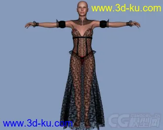 3D打印模型DAZ3D - Poser - Hot Sominas Delight for V4的图片