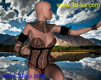 3D打印模型DAZ3D - Poser - Hot Sominas Delight for V4的图片