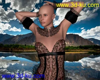 3D打印模型DAZ3D - Poser - Hot Sominas Delight for V4的图片